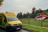 Pes na Zlínsku pokousal chlapce v obličeji: Na místo letěl vrtulník