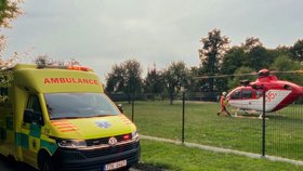 Pes na Zlínsku pokousal chlapce v obličeji: Na místo letěl vrtulník