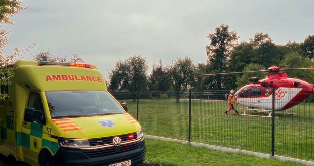 Pes pokousal malého chlapce na Zlínsku.