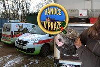 Zuzana ze záchranné stanice v Jinonicích: Zvířata svátky nerozlišují, fungujeme nepřetržitě