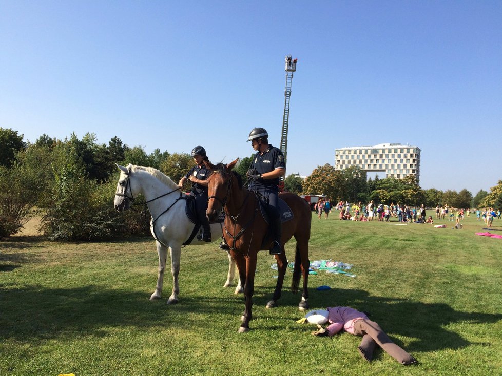 Koně městské policie