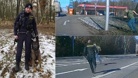 Dramatické video z policejní honičky: Zloděje vyčmuchal pes, policista pak muže složil do křoví