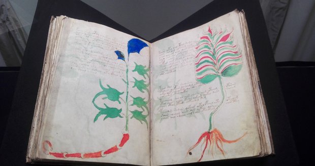 Faksimile Voynichova rukopisu, nejvíce zašifrované listiny světa z 15. století. Jde o záhadnou ilustrovanou knihu, napsanou neznámým písmem v neznámém jazyce.