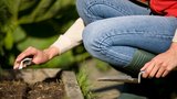 Zahrada v březnu: Připravte rozmrzlou půdu na výsev  