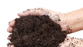 Zralý kompost je nejlepší hnojivo.