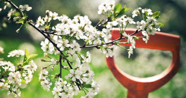 Poslední roky platí, že jaro je velmi krátké a rychle po něm následuje léto.