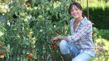 Vše o rajčatech: Jak na ně, abyste měli velkou a kvalitní úrodu? 