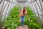 Zelenině se ve skleníku daří líp, než na záhonech.