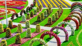 Dubaj se chlubí zahradou se 45 miliony květin