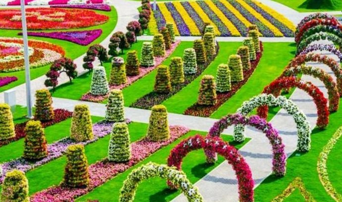 Zahrada v Dubaji se 45 miliony květin