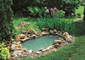 Zahradní jezírko je vděčný způsob, jak dostat vodní plochu do zahrady.