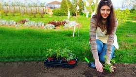 Rozvrhněte si jarní práce: Život  na zahradě začíná