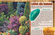 10 pravidel barevné zahrady
