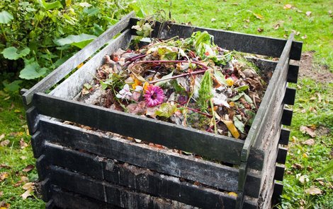 Místo průmyslového hnojiva přidávejte kompost nebo vyzrálý hnůj.