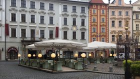 Zahrádky v centru Prahy povětšinou zely prázdnotou.