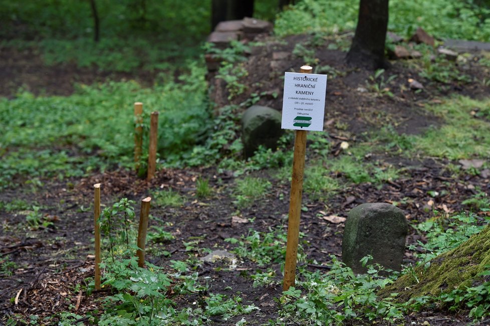 Návštěvníci brněnského parku kolem hradu Špilberk mohou od 17. května nově využívat k procházce Severní zahrady, do kterých dlouhá léta nebyl přístup.