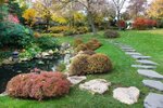 Ukázku japonské zahrady najdete také v pražské Troji ve zdejší botanické zahradě