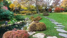 Ukázku japonské zahrady najdete také v pražské Troji ve zdejší botanické zahradě