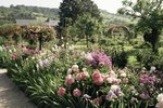 Květinové království, které vytvořil impresionista Clode Monet, můžete ve francouzském