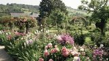 NEJ zahrady světa: Živý květinový obraz malíře Moneta můžete navštívit i dnes