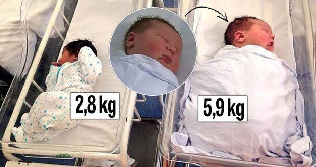Novorozený Zaid váží 5,9 kg. Pro porovnání vedle miminka, které váží 2,8 kg.