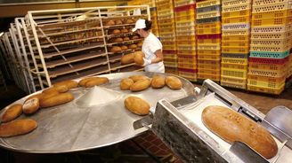 Pekaři investovali miliony do linky na tradiční chleba