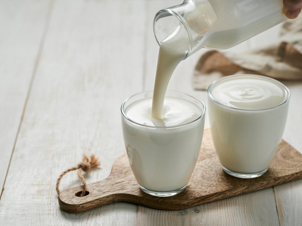 Bílkoviny můžete doplnit i zakysanými mléčnými výrobky