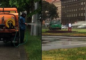 Prahu po týdnech sucha svlažil déšť. Vodu na kropení záhonů tak bylo možné použít lépe, třeba k zálivce stromů, které v metropoli usychají.