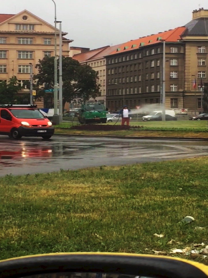 Prahu po týdnech sucha svlažil déšť. Vodu na kropení záhonů tak bylo možné použít lépe, třeba k zálivce stromů, které v metropoli usychají.