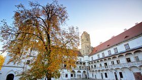 Břeclavská radnice začne od příštího roku renovovat místní zámek. Nejprve se zaměří na konferenční sál, sociální zázemí a vytvoření informačního místa.
