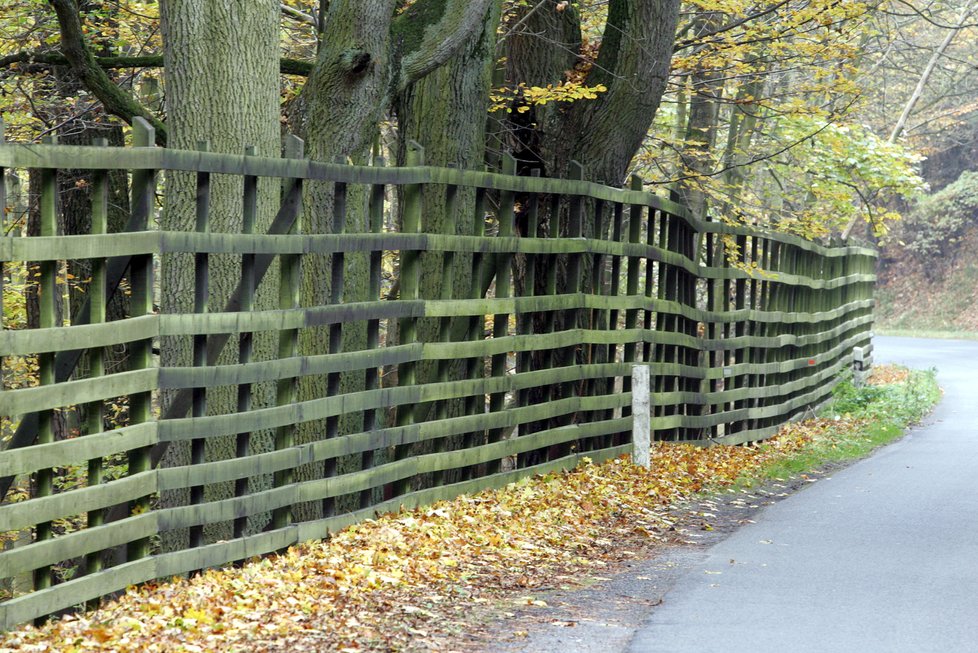 Pod CHKO Křivoklátsko spadá i Lánská obora.