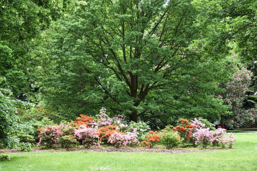 Park u třeboňského zámku