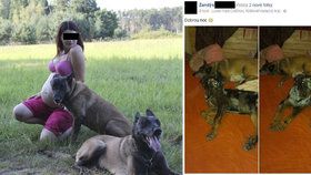 Pouhé čtyři dny po tragédii se Žaneta na Facebooku chlubí fotkami svých psů.