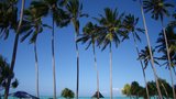 Zanzibar - voňavý ráj na zemi