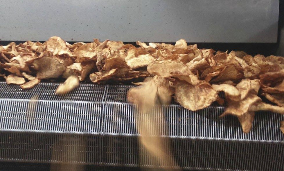 Zápach z výrobny zeleninových chipsů dusí obec. Firma navíc podniká v nezkolaudovaných prostorách