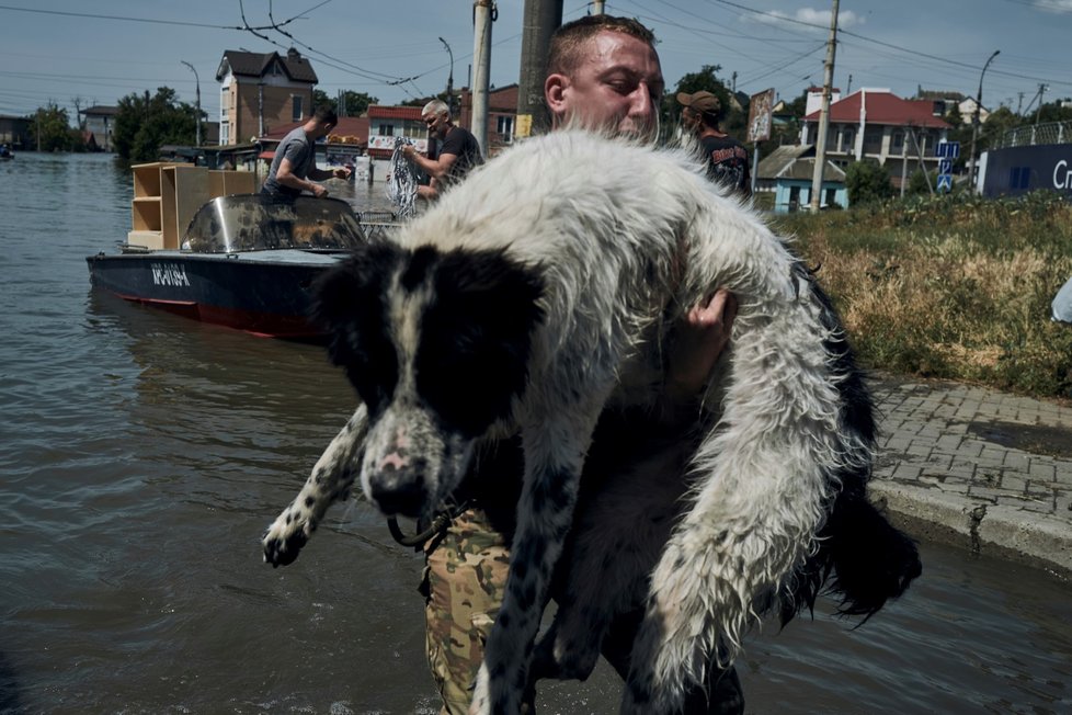 Záchrana mazlíčků před záplavami v Chersonské oblasti (7.6.2023)