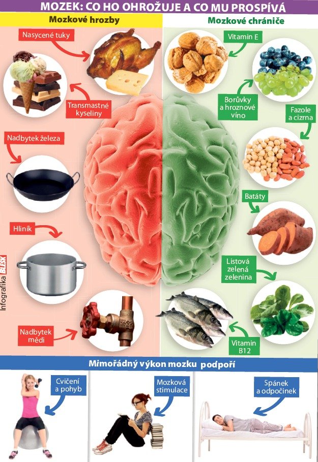 MOZEK: CO HO OHROŽUJE A CO MU PROSPÍVÁ