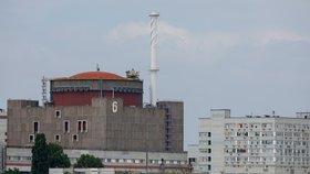 Kolona s inspektory MAAE mířící do Záporožské jaderné elektrárny (15. 6. 2023).