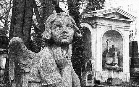 Z Olšanských hřbitovů si udělali zloději svou pokladničku.