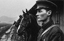 Šest vojenských koní muselo být v červenci 1909 utraceno. Čtyři desítky dalších utrpěly tak závažná zranění, že nadále nebyli potřební pro službu v c. k. rakousko-uherské armádě. Stalo se ve vojenském táboře Mladá a na vině byl jistý hejtman od 91. pěšího pluku.