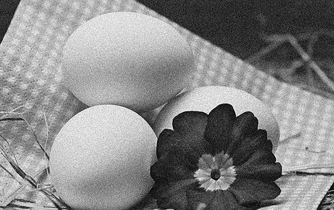 Lupiči si vydělali na tři vajíčka.