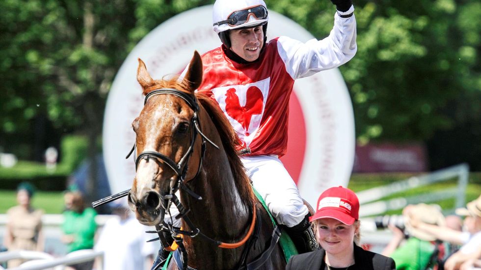 Zarate Velkou pardubickou nepoběží