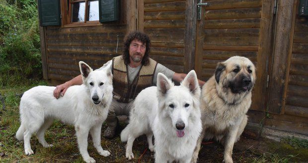 Zaříkávač psů přišel se svými svěřenci o domov: Stěhování nepřežil starý vlk!