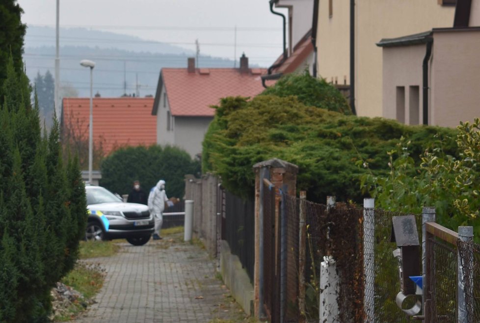 Při policejním zásahu v Plzni zemřel agresivní muž.
