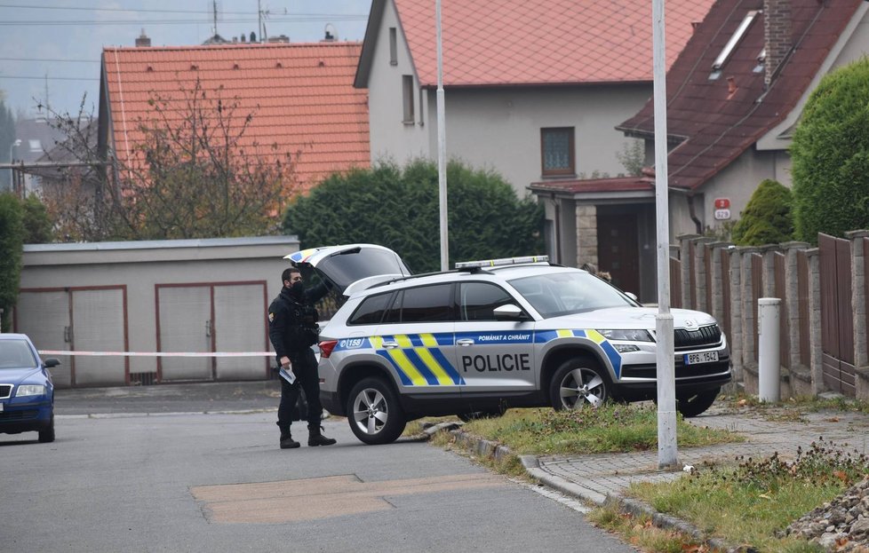 Při policejním zásahu v Plzni zemřel agresivní muž.