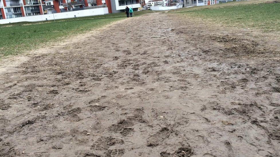 Na sídlišti Metropole na Zličíně čekají na zastávky už pět let. Navíc chodníky jsou postavené tak podivně, že někteří si raději zkracují cestu přes pole.