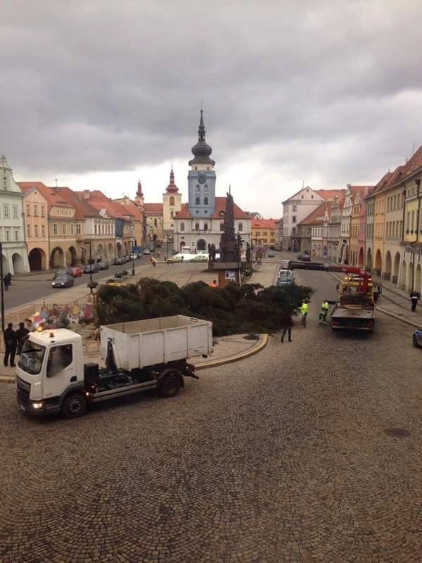 Pádu stromu si jako první všimla Karolína Bednářová, která na náměstí bydlí.