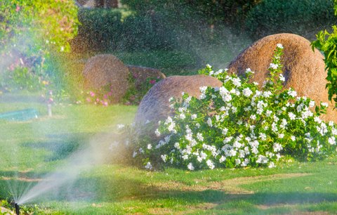 Moderní zavlažovací systémy nepotřebují obsluhu Jak budete letos zalévat zahradu? 