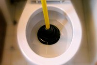 Revoluční vynález na ucpaný záchod: Už žádný zvon a cákání