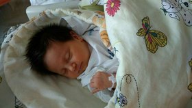 Vlasatá holčička prospívala a dělala rodičům radost. Pak se ale v 18 měsících vše zlomilo.